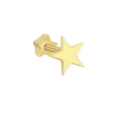 Plaka Yıldız Altın Tragus Piercing - 1