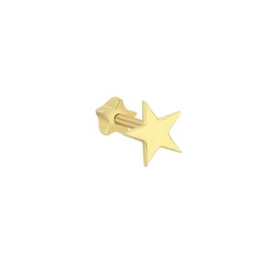 Plaka Yıldız Altın Tragus Piercing - 1